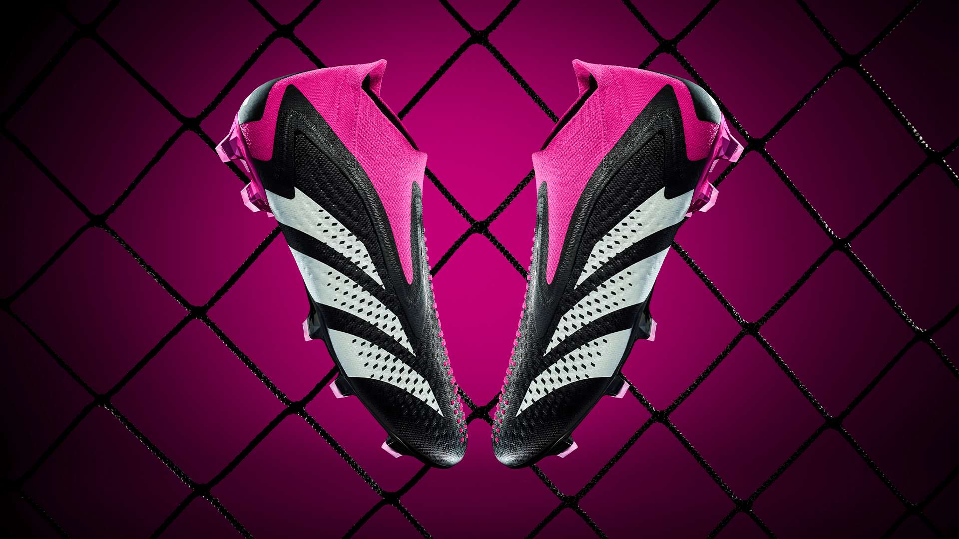 意大利与瑞 意大利与瑞